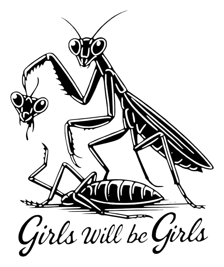 Girlhood Humor + Feminist Rage Stickers